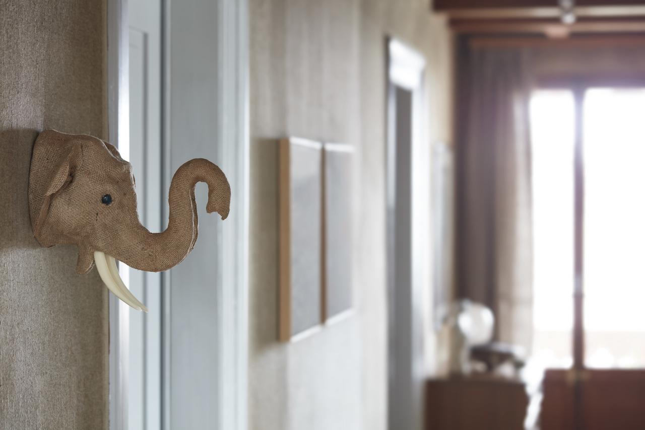 Boutique B&B Maison Bergdorf Интерлакен Экстерьер фото